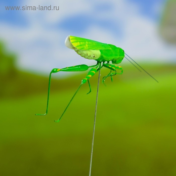 Штекер Штекер "Кузнечик зеленый" 3х5см/22см