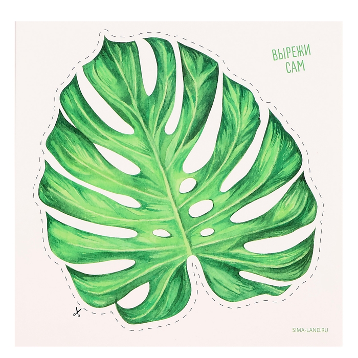 Декор на стену &laquo;Эко&raquo;, 5 карточек в комплекте