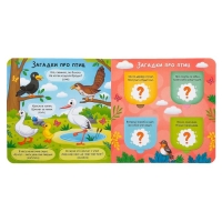 Книга картонная с окошками «Загадки в окошках» 10 стр. Книга картонная с окошками «Загадки в окошках» 10 стр.