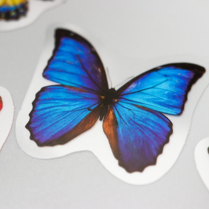 Наклейки для творчества Наклейки для творчества "Бабочки в банке" набор 35 шт 13,3х9,2 см