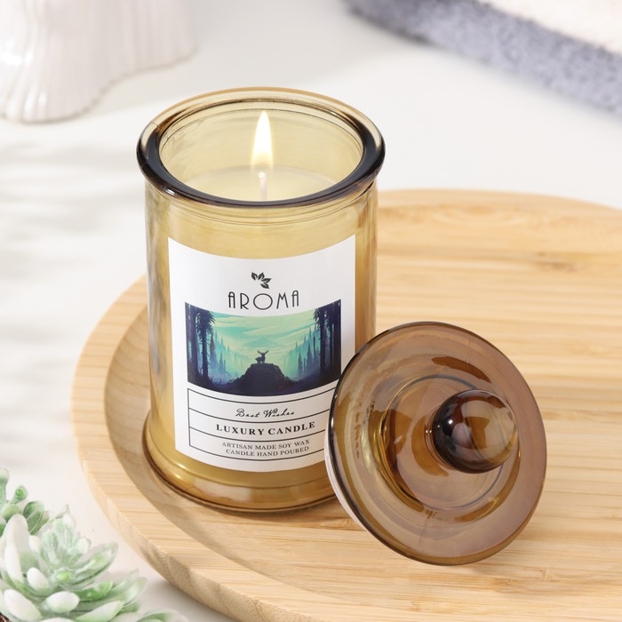 Свеча ароматическая в банке Свеча ароматическая в банке "Цветущий жасмин", 40ч, 95 гр, в коробке