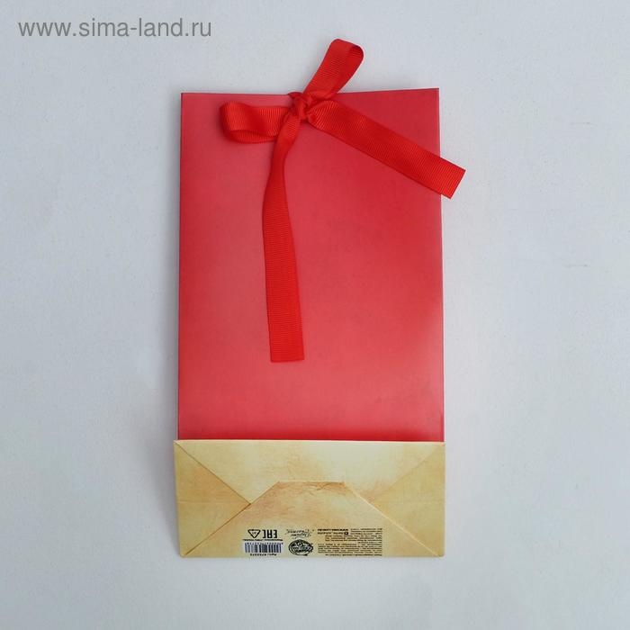Пакет подарочный с лентой, упаковка, &laquo;Present&raquo;, 13 х 23 х 7 см