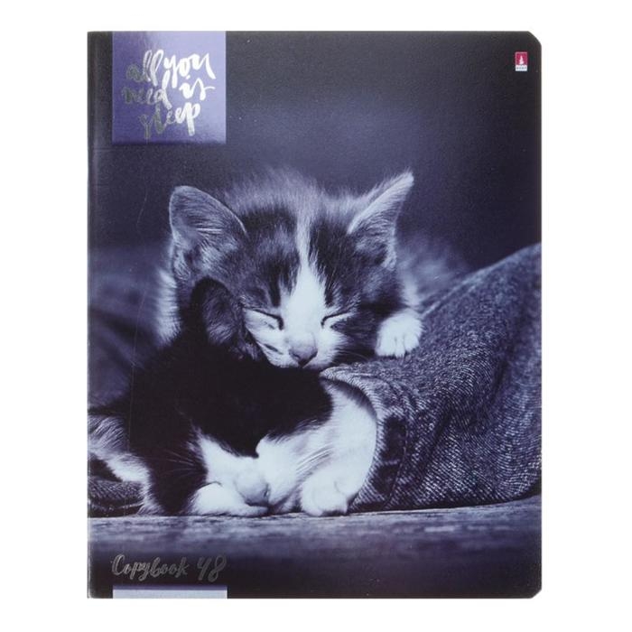 Тетрадь 48 листов в клетку Тетрадь 48 листов в клетку "Котята мур-мур", обложка мелованный картон, гибридный лак, фольга, МИКС