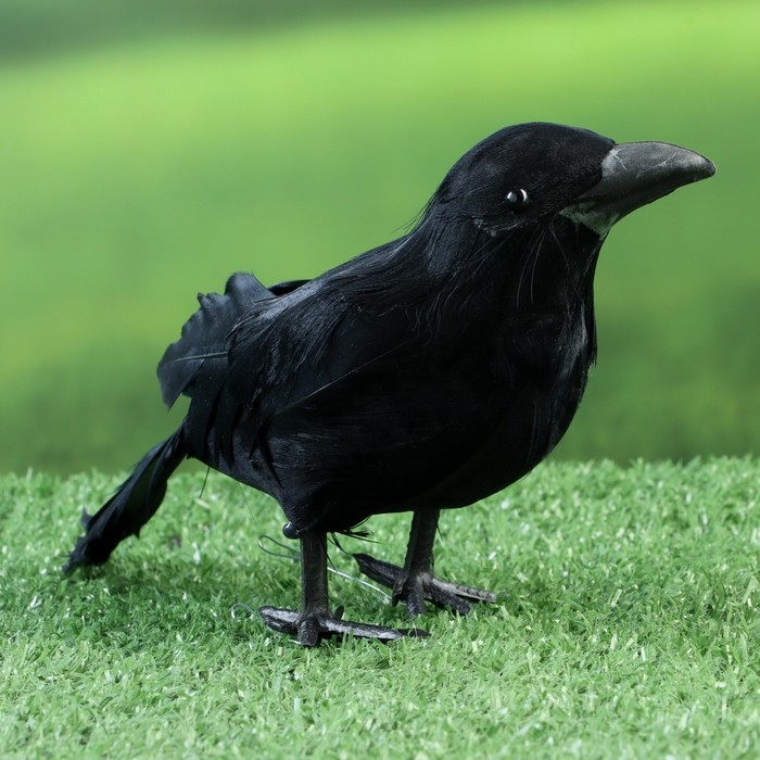 Фигура Фигура "Ворон" 20х6х10см