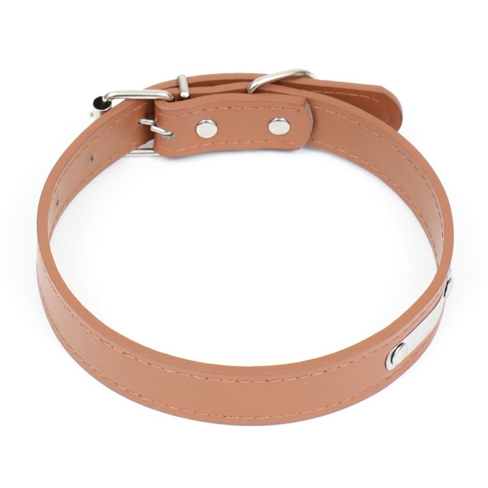 Ошейник из искусственной кожи с шильдом под гравировку, 52 х 2,5 см, ОШ 35-45 см, коричневый