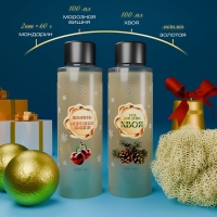 Новогодний подарочный набор косметики «Волшебница зима» для душа и ванны, золотая серия Новогодний подарочный набор косметики «Волшебница зима» для душа и ванны, золотая серия