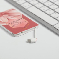 Зарядное устройство &laquo;Расцветай от счастья&raquo;, 2500 mAh, 6 х 9,5 см