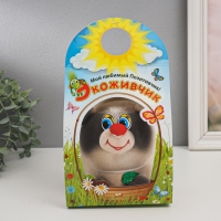 Растущий подарок травка Экоживчик "Панда" Растущий подарок травка Экоживчик "Панда"