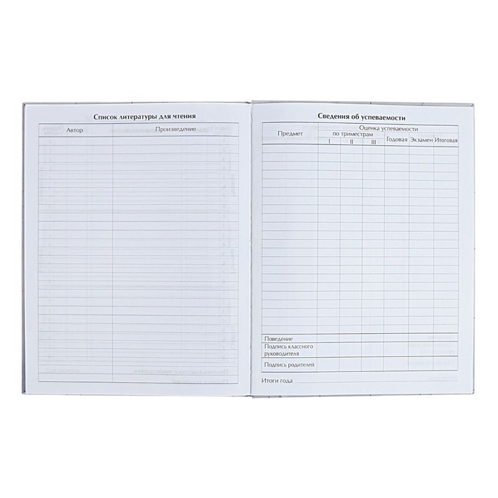 Дневник для 5-11 классов Дневник для 5-11 классов "Современный вайб. Анонимность", твёрдая обложка, матовая ламинация, выборочный лак, 48 листов