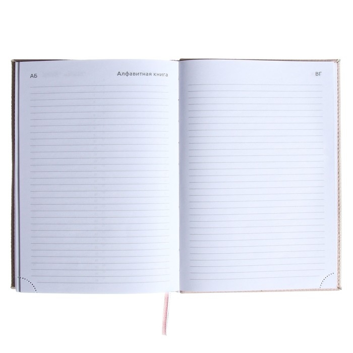 Ежедневник недатированный A5, 160 листов, deVENTE.Contea, твёрдая обложка из искусственной кожи с поролоном, розовый