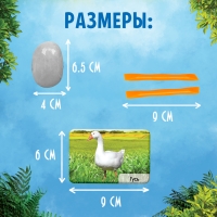 Набор для раскопок &laquo;Жители фермы&raquo;