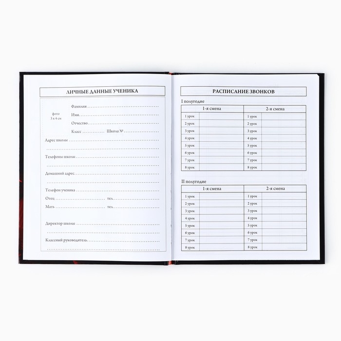 Дневник школьный для 1-11 класса, в твердой обложке, 40 л. &laquo;Динозавр&raquo;