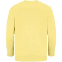 Свитшот детский Columbia Kids, светло-желтый, на рост 130-140