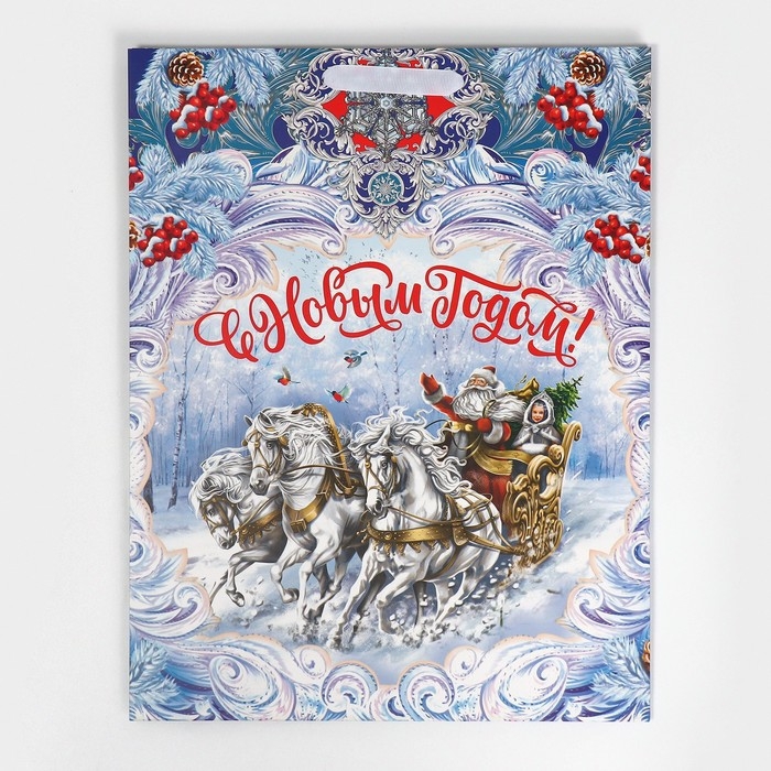 Пакет подарочный новогодний ламинированный &laquo;Дедушка Мороз&raquo;, L 31 х 40 х 11,5 см, Новый год