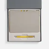 Набор Flexpen Grey, желтый