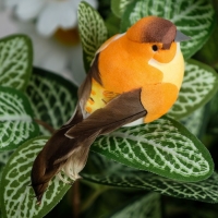 Декор на прищепке "Птица", микс, 8 х 3,5 х 3 см