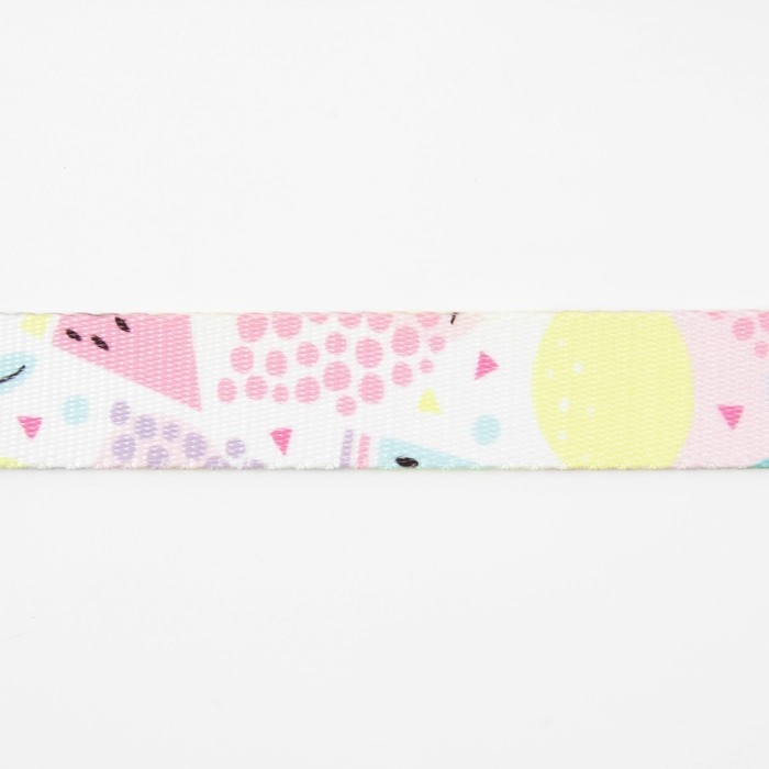 Поводок &laquo;Сочное настроение&raquo;, 2.5 см, 2 м