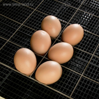 Инкубатор бытовой &laquo;Золушка&raquo;, на 70 яиц, автоматический переворот, 220 В/12 В