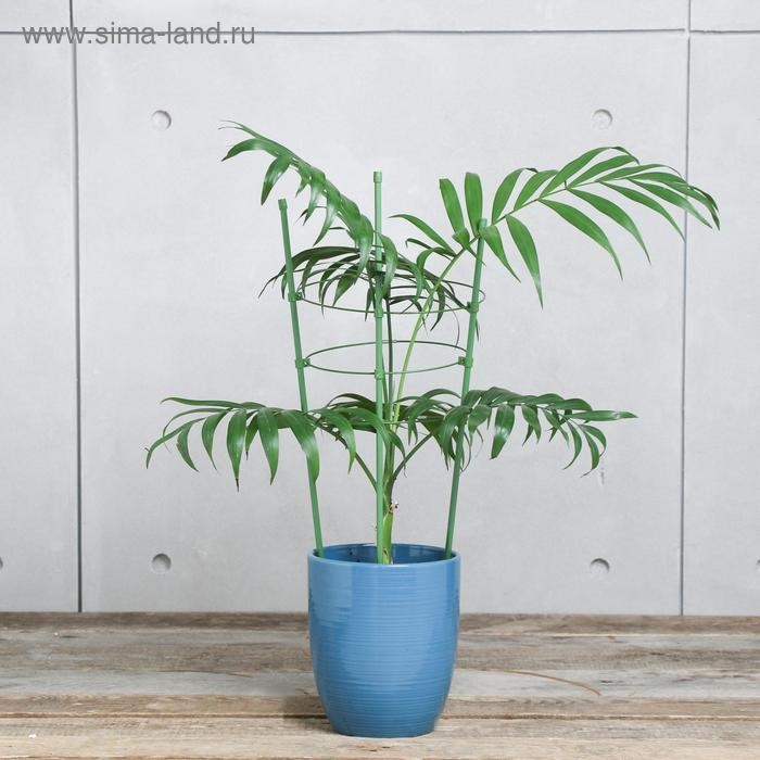 Кустодержатель, d = 15&ndash;17&ndash;19 см, h = 44 см, 3 кольца, металл, зелёный, Greengo