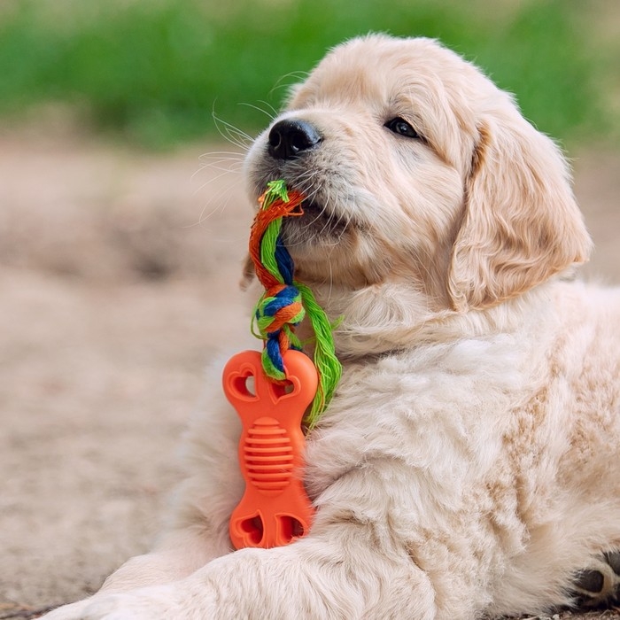 Игрушка жевательная с канатом "Косточка на привязи", 9,5 см, розовая