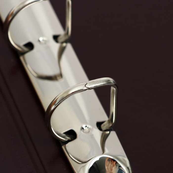 Альбом для монет на кольцах, формат Оптима 230 х 265 мм Calligrata Альбом для монет на кольцах, формат Оптима 230 х 265 мм Calligrata "Карта", входит до 20 листов, обложка ПВХ, коричневый