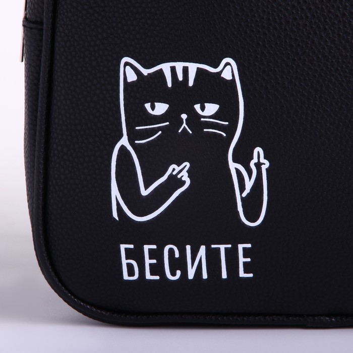 Рюкзак школьный из искусственной кожи &laquo;Бесите&raquo; 27х23х10 см