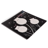 Скетчбук 240 х 240 мм, 40 листов чёрная бумага, 20 листов белая бумага, на гребне "Одуванчиковые коты", обложка мелованный картон, жёсткая подложка, блок 100/160 г/м&sup2;