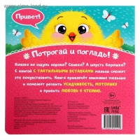 Тактильная книжка &laquo;Пушистые малыши и мамочки&raquo;