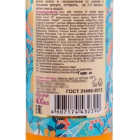 Бальзам для волос Natura Siberica &laquo;Облепиховый&raquo;, для нормальных и жирных волос, 400 мл