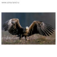 Картина-холст на подрамнике "Перед прыжком" 60х100 см