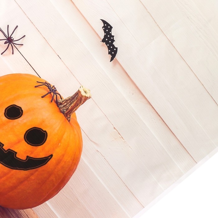 Фотофон винил "Тыковки и летучие мыши" 80х125 см