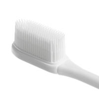 Игровой набор «Макет челюсти человека», 12 × 9 см, с щёткой, щётка цвета МИКС Игровой набор «Макет челюсти человека», 12 × 9 см, с щёткой, щётка цвета МИКС