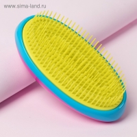 Расчёска массажная, 6,5 &times; 12 см, PVC коробка, разноцветная