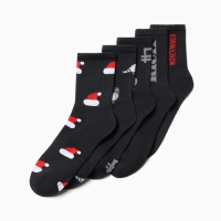 Набор мужских носков KAFTAN "Деньги валятся с небес" 5 пар, размер 41-44 (27-29 см)