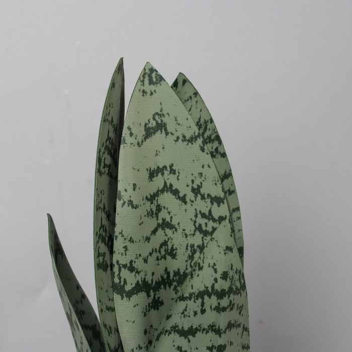 Бонсай в горшке "Сансевиерия леди" 21х8,5 см, микс