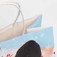 Пакет подарочный новогодний крафтовый &laquo;Согревайся&raquo;, 25 х 22 х 12 см, Новый год