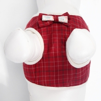 Комплект с мягкой шлейкой "Клетки", размер S, поводок, 120 х 1,5 см, ОГ 28-62 см, красный