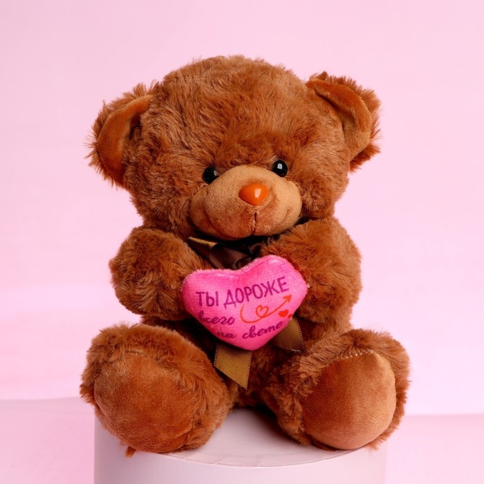 Мягкая игрушка «Ты дороже всего на свете», медведь, цвета МИКС Мягкая игрушка «Ты дороже всего на свете», медведь, цвета МИКС