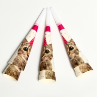 Карнавальный гудок &laquo;Кошечка&raquo;, набор 6 шт.