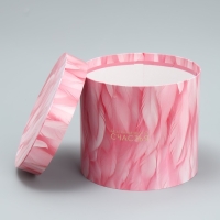 Набор шляпных коробок 5 в 1, упаковка подарочная, &laquo;Перья&raquo;, 13 х 14 ‒ 19.5 х 22 см