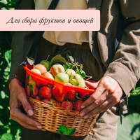 Ёмкость для сбора ягод, 3 л, «Малина» Ёмкость для сбора ягод, 3 л, «Малина»