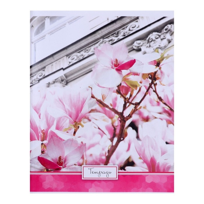 Тетрадь 48 листов в клетку Calligrata Тетрадь 48 листов в клетку Calligrata "Яркие цветы", обложка мелованный картон, УФ-лак, блок офсет, МИКС