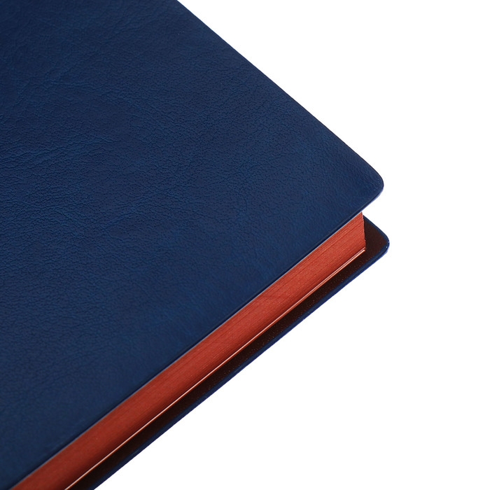 Органайзер на кольцах, А5, 116л, клетка, обл.кожзам, коричневый срез, Синий