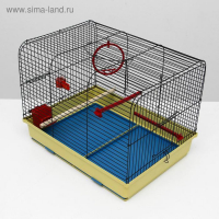 Клетка для птиц "Грация", 49 х 36 х 37 см, микс цветов Клетка для птиц "Грация", 49 х 36 х 37 см, микс цветов