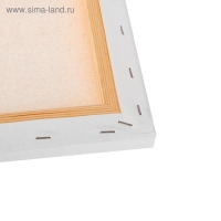 Холст на картоне 50 х 60 см, хлопок 100%, 2 мм, акриловый грунт, АКВАРЕЛЬНЫЙ, мелкозернистый, Гамма "Московская палитра"