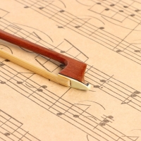 Смычок для скрипки Music Life 1/2 high quality, 62 см Смычок для скрипки Music Life 1/2 high quality, 62 см