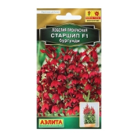 Семена Цветов Лобелия "Старшип", F1, бургунди, пробирка, 5 шт Семена Цветов Лобелия "Старшип", F1, бургунди, пробирка, 5 шт