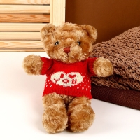 Мягкая игрушка «Мишка в футболке», 30 см, цвета МИКС Мягкая игрушка «Мишка в футболке», 30 см, цвета МИКС