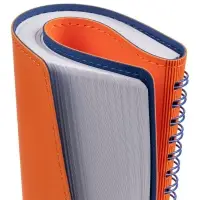 Ежедневник Spring Shall, недатированный, оранжевый Ежедневник Spring Shall, недатированный, оранжевый