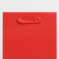 Пакет подарочный под бутылку, упаковка, &laquo;Красный&raquo;, 13 x 36 x 10 см